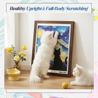 Gallery Frame Cat Scratcher