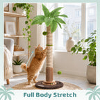 Coconut Palm Cat Scratching Post