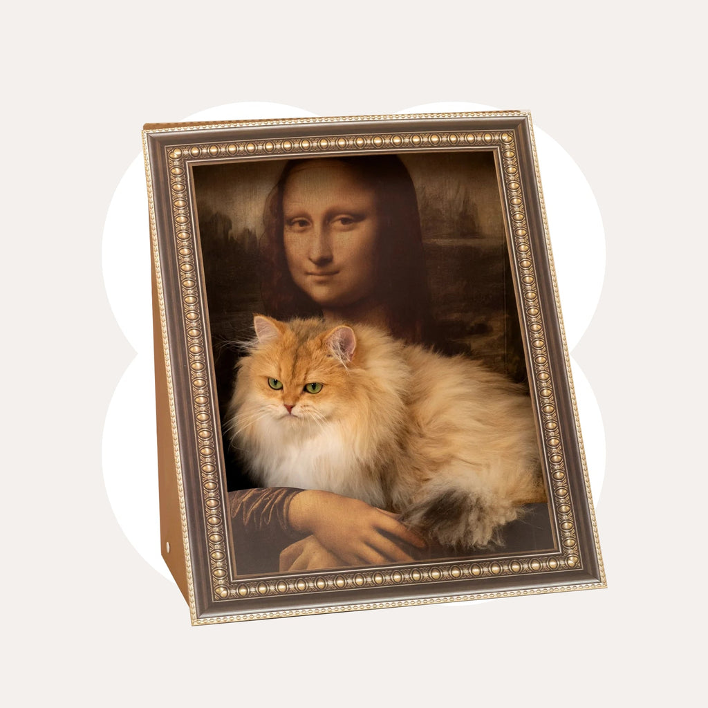 Cat Scratcher Blind Box