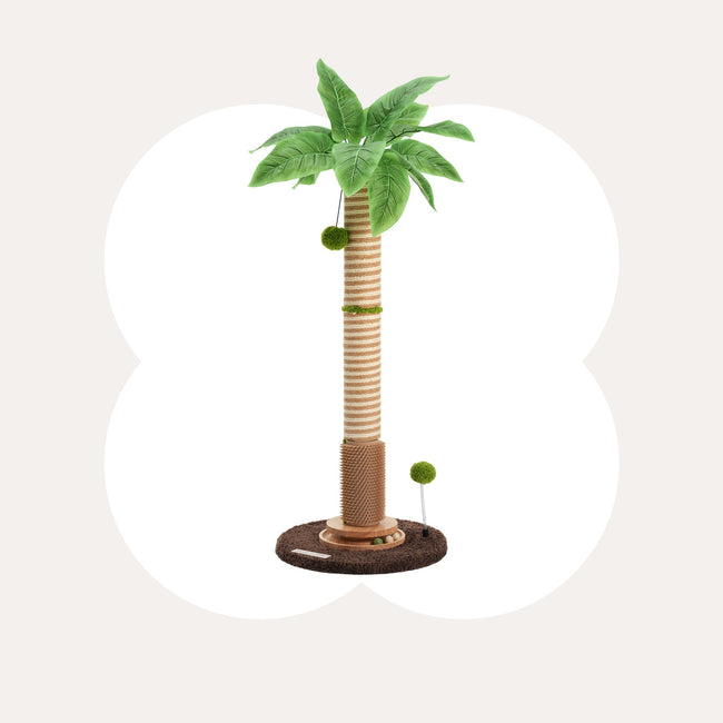 Coconut Palm Cat Scratching Post Main Image