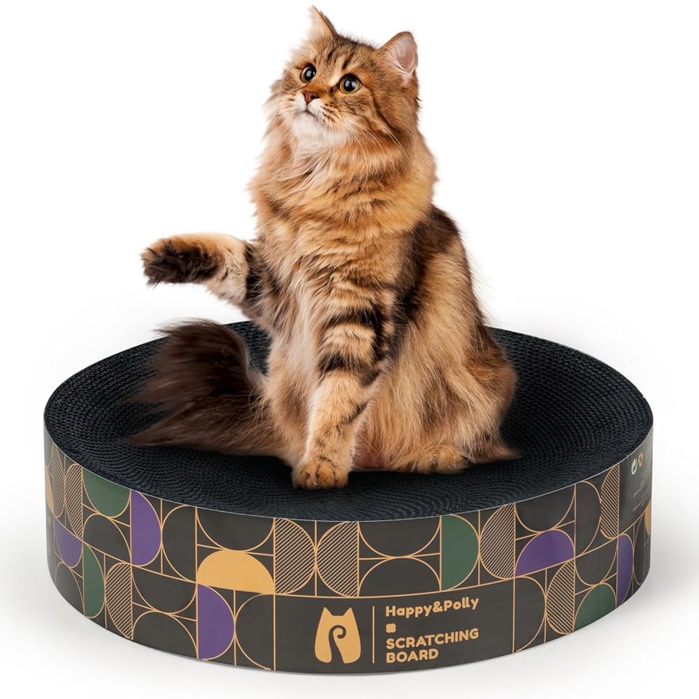 Cat Scratcher Blind Box