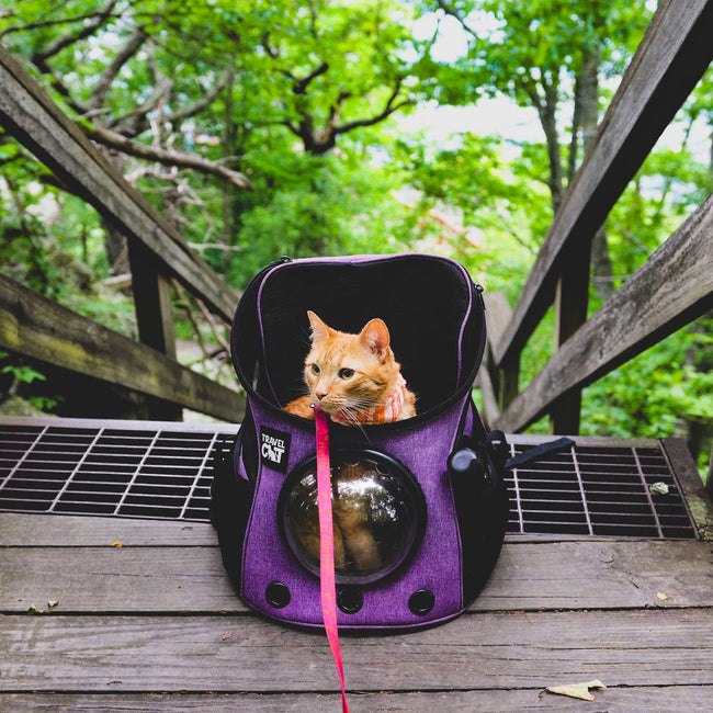 "The Fat Cat" Mini Cat Backpack - Purple Main Image