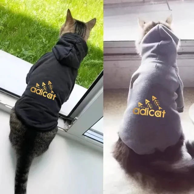 Adicat Sports Cat Hoodie Hover Image