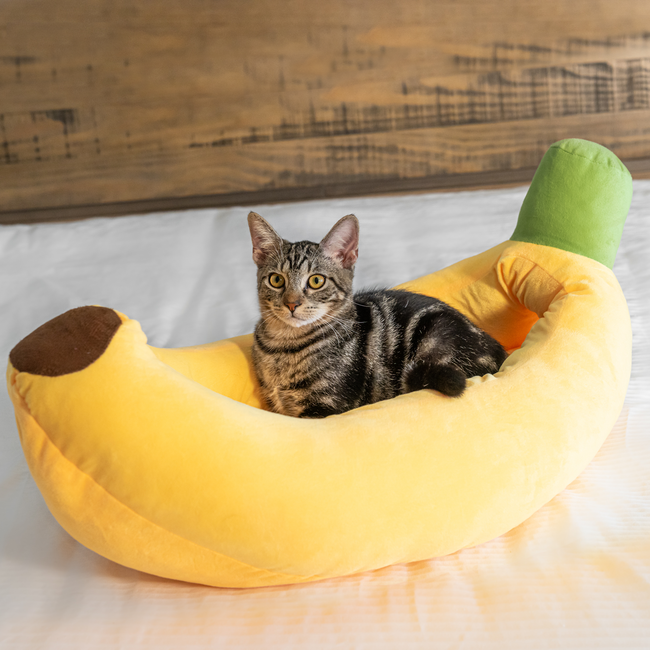 Banana Cat Bed Hover Image
