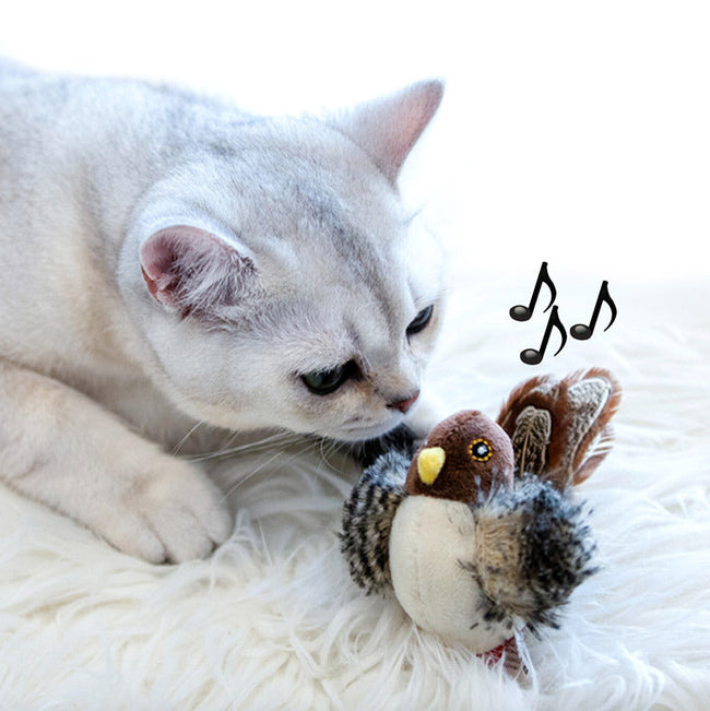 Chirping Bird Cat Toy Main Image