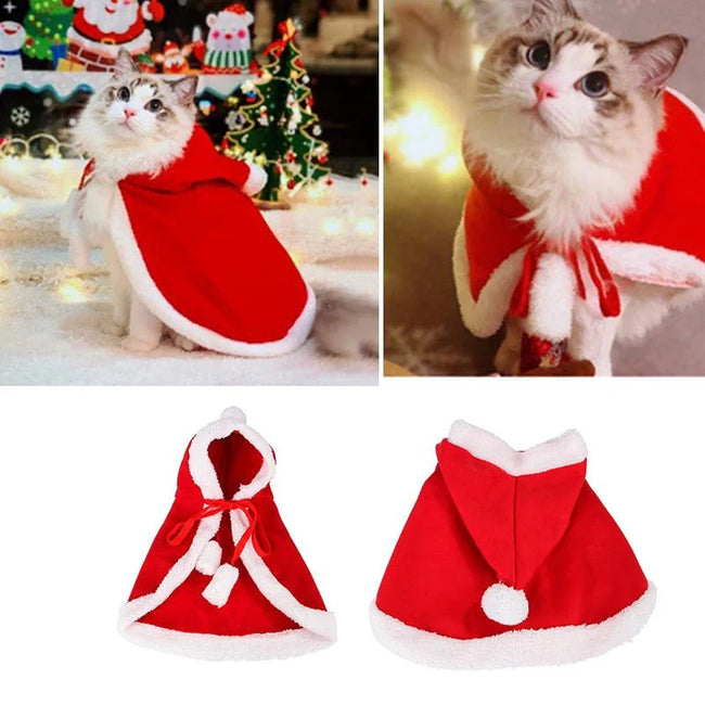 Cat Costume Santa Cosplay Hover Image