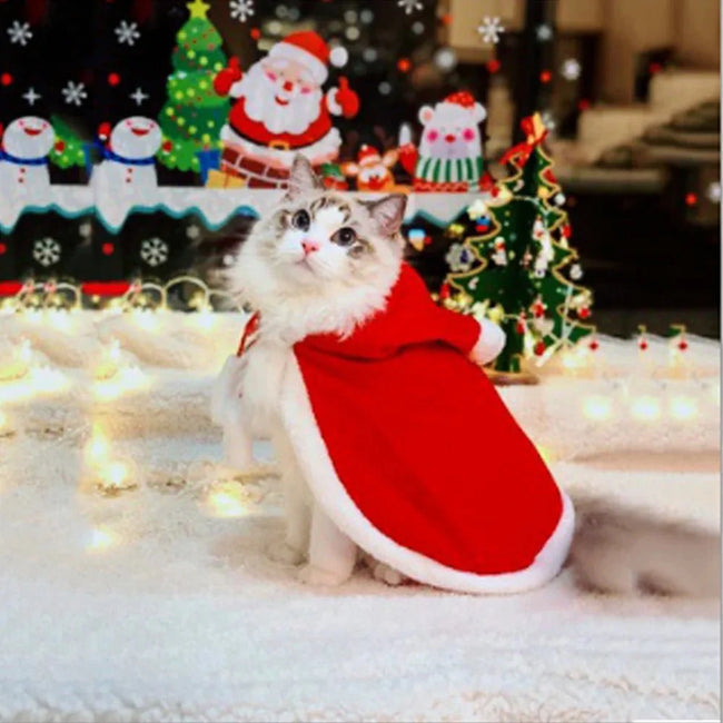 Cat Costume Santa Cosplay Main Image