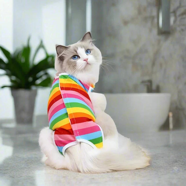 Cat Weaning Anti-lick Sterilization Surgery Recovery Suit Main Image