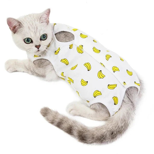 Cat Weaning Cotton Sterilization and Surgery Recovery Clothes