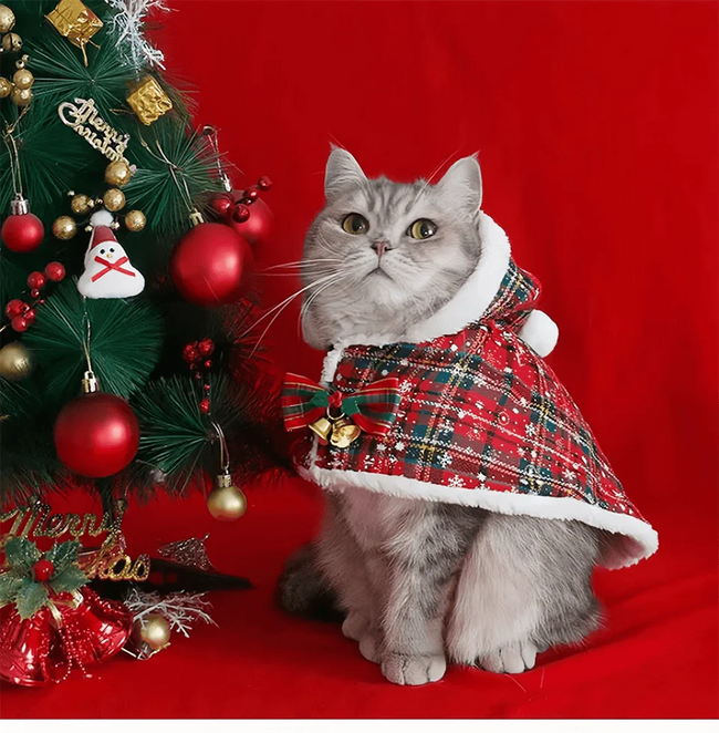 Christmas Cat Hoodie Warm Cloak Main Image