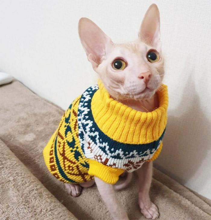 Cozy Winter Sweater
