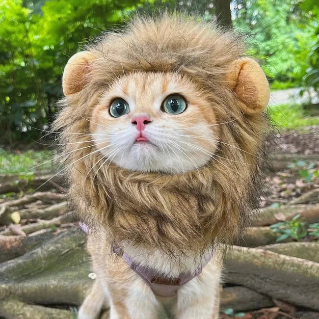 Lion Mane Wig for Cats Hover Image