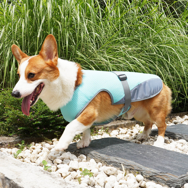 Mesh Heat Dissipation Cooling Dog Vest Hover Image