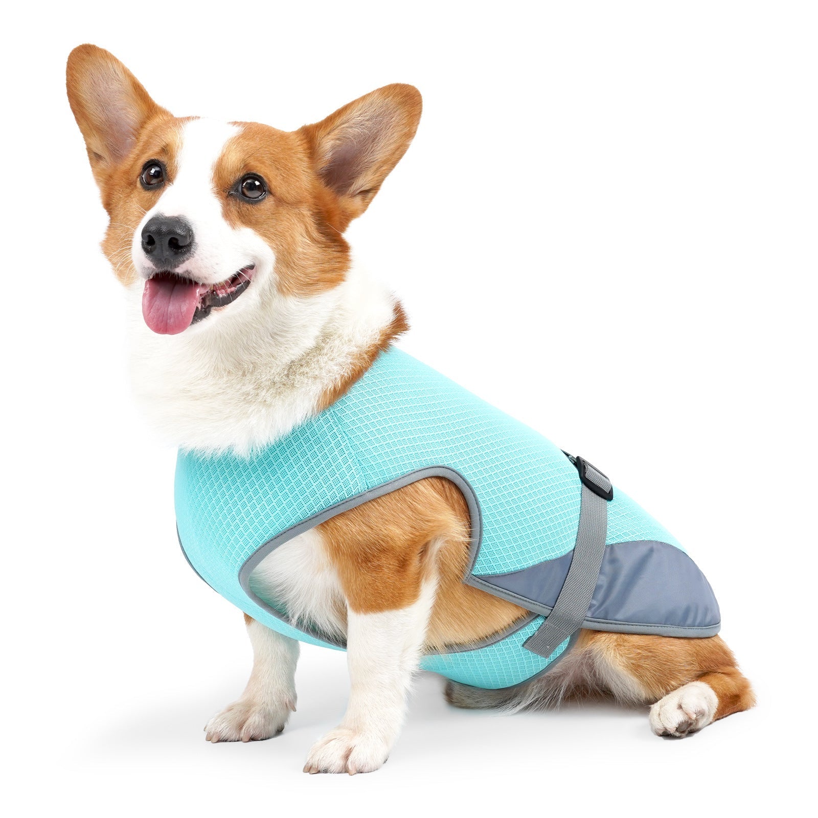 Mesh Heat Dissipation Cooling Dog Vest