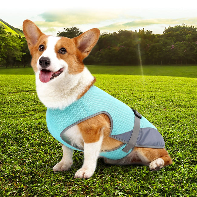 Mesh Heat Dissipation Cooling Dog Vest Main Image