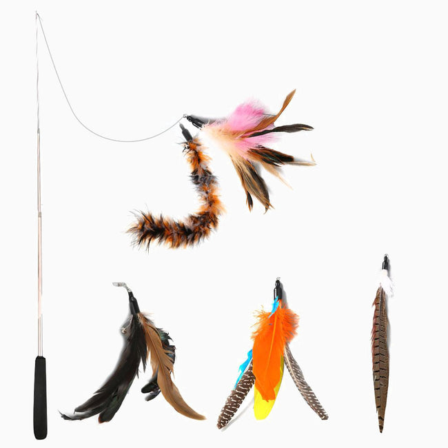 Addictive Feather Rod Cat Toys Main Image