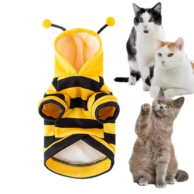 Pet Bee Cat Halloween Hoodie Main Image
