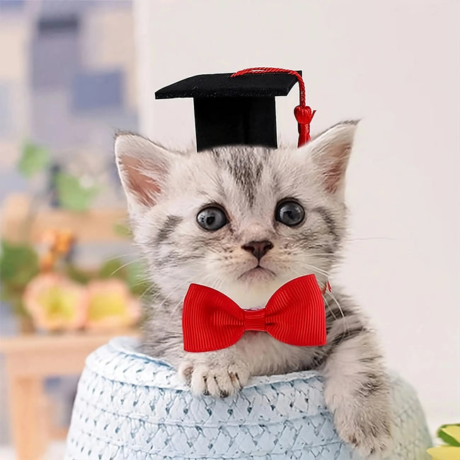 Pet Graduation Cap with Tassle & Bowtie Main Image