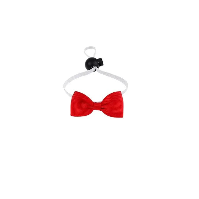 Pet Graduation Cap with Tassle & Bowtie Hover Image