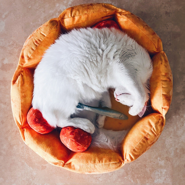 Cute Pizza Cat Bed Main Image