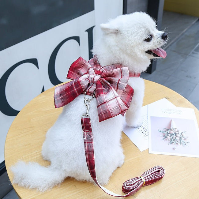 Plaid Vest Leash and Chest Strap Teddy Clothes for Cats/Dogs Hover Image