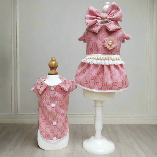 Teddy Bear Dog Outfit Main Image