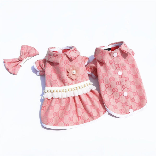 Teddy Bear Dog Outfit Hover Image